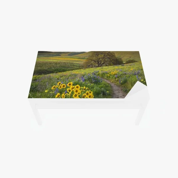 Tischaufkleber und Schreibtischaufkleber sonnige bergwiese bei sonnenaufgang – Wallnifity®