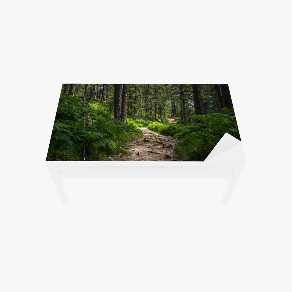 Tischaufkleber und Schreibtischaufkleber ruhiger waldpfad durch üppiges grün – Wallnifity® Tischaufkleber und Schreibtischaufkleber ruhiger waldpfad durch üppiges grün – Wallnifity®