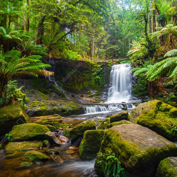 Tischaufkleber und Schreibtischaufkleber üppiger waldwasserfall – Wallnifity® Tischaufkleber und Schreibtischaufkleber üppiger waldwasserfall – Wallnifity®