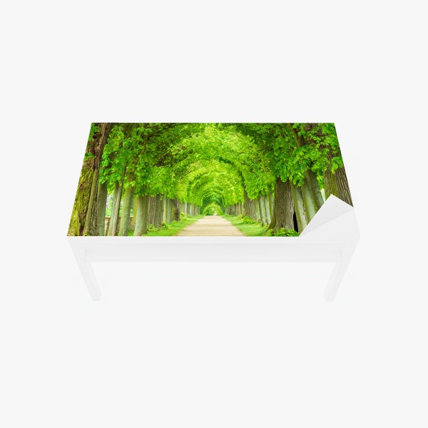Tischaufkleber und Schreibtischaufkleber zartes blaues blumenmuster – Wallnifity®