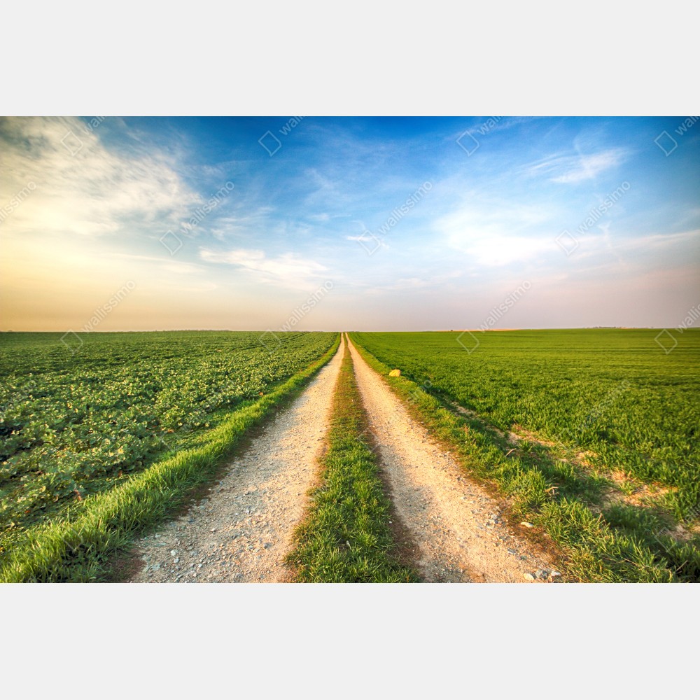 Tischaufkleber und Schreibtischaufkleber feldweg durch grüne felder – Wallnifity® Tischaufkleber und Schreibtischaufkleber feldweg durch grüne felder – Wallnifity®