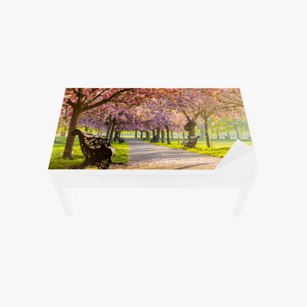 Tischaufkleber und Schreibtischaufkleber kirschblütenallee im frühling – Wallnifity® Tischaufkleber und Schreibtischaufkleber kirschblütenallee im frühling – Wallnifity®