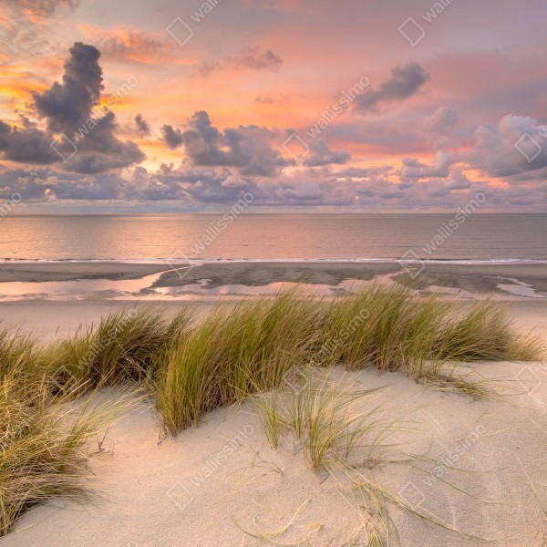 Tischaufkleber und Schreibtischaufkleber sonnenuntergang über dünen in Zeeland – Wallnifity® Tischaufkleber und Schreibtischaufkleber sonnenuntergang über dünen in Zeeland – Wallnifity®