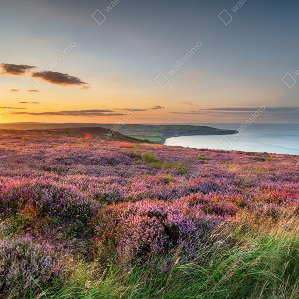 Tischaufkleber und Schreibtischaufkleber sonnenuntergang über der heide auf den North York Moors – Wallnifity® Tischaufkleber und Schreibtischaufkleber sonnenuntergang über der heide auf den North York Moors – Wallnifity®