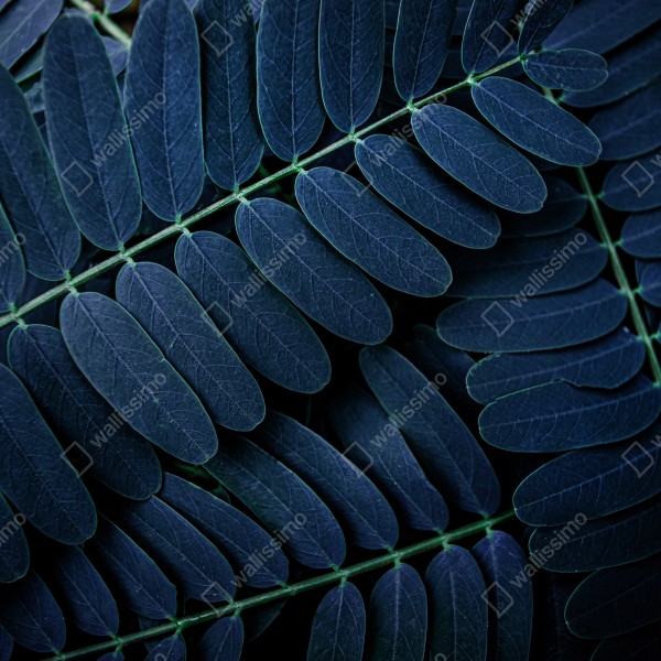 Tischaufkleber und Schreibtischaufkleber tiefblaues blattmuster – Wallnifity® Tischaufkleber und Schreibtischaufkleber tiefblaues blattmuster – Wallnifity®