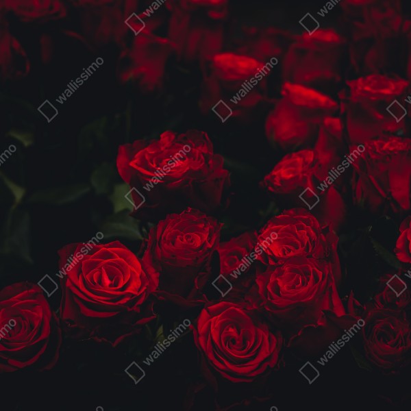 Tischaufkleber und Schreibtischaufkleber dunkler rosenstrauß – Wallnifity® Tischaufkleber und Schreibtischaufkleber dunkler rosenstrauß – Wallnifity®