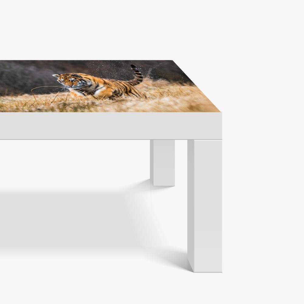 Tischaufkleber und Schreibtischaufkleber sibirischer tiger in bewegung – Wallnifity® Tischaufkleber und Schreibtischaufkleber sibirischer tiger in bewegung – Wallnifity®