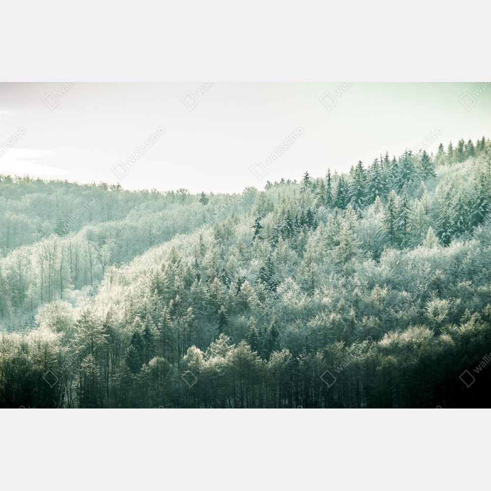 Tischaufkleber und Schreibtischaufkleber nebliger reifbedeckter wald – Wallnifity® Tischaufkleber und Schreibtischaufkleber nebliger reifbedeckter wald – Wallnifity®