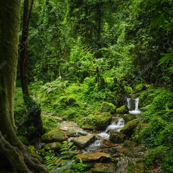 Tischaufkleber und Schreibtischaufkleber üppiger grüner waldwasserfall – Wallnifity® Tischaufkleber und Schreibtischaufkleber üppiger grüner waldwasserfall – Wallnifity®