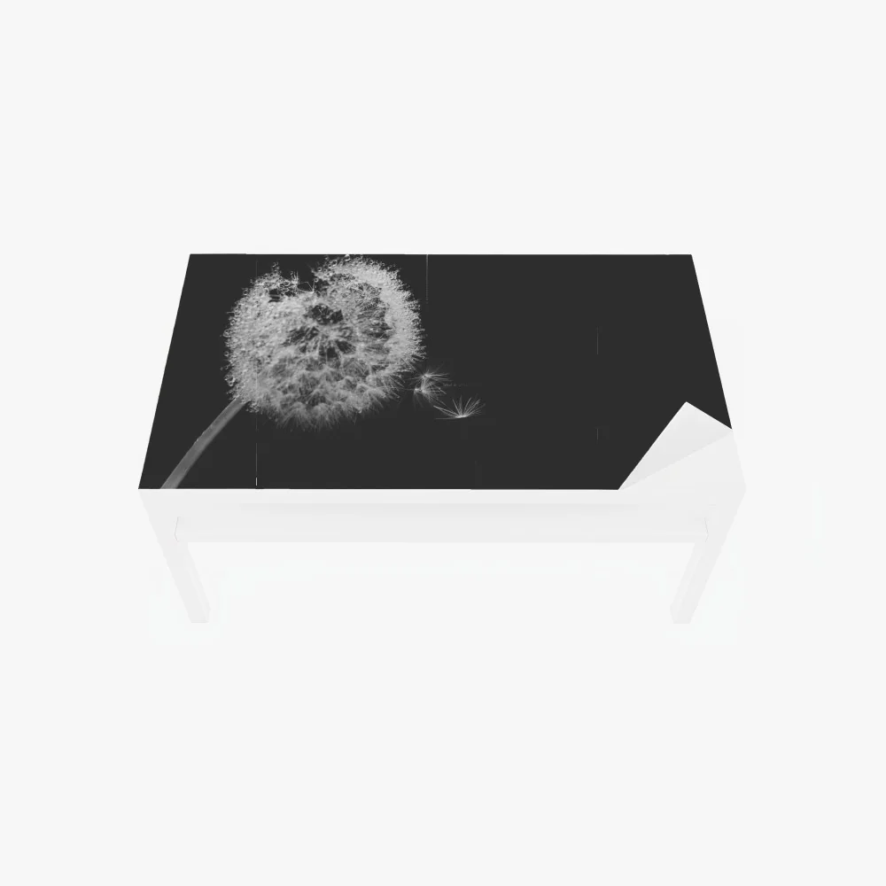 Tischaufkleber und Schreibtischaufkleber zarter löwenzahn in monochrom – Wallnifity® Tischaufkleber und Schreibtischaufkleber zarter löwenzahn in monochrom – Wallnifity®