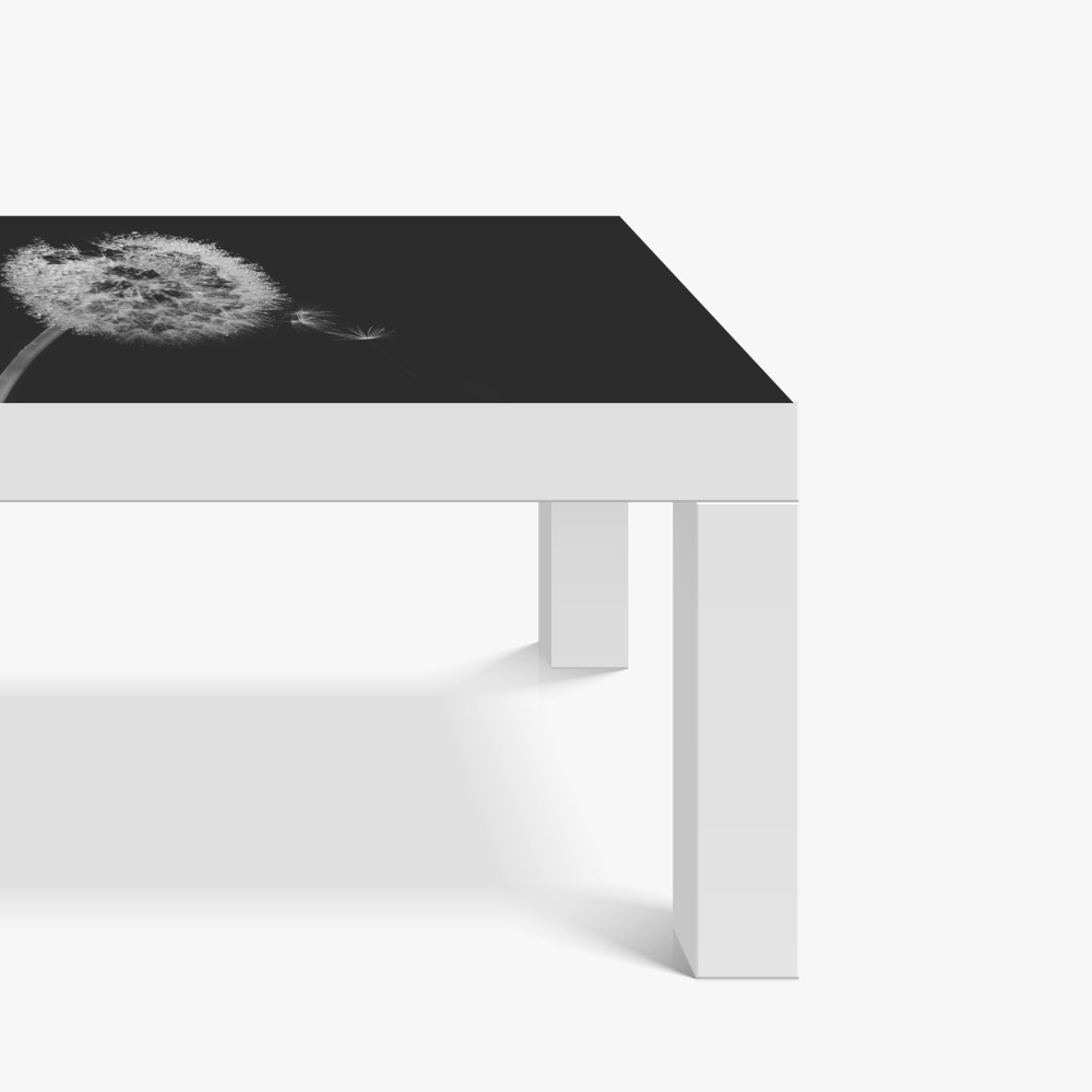 Tischaufkleber und Schreibtischaufkleber zarter löwenzahn in monochrom – Wallnifity® Tischaufkleber und Schreibtischaufkleber zarter löwenzahn in monochrom – Wallnifity®