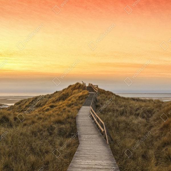 Tischaufkleber und Schreibtischaufkleber sonnenuntergang am strand von Amrum – Wallnifity® Tischaufkleber und Schreibtischaufkleber sonnenuntergang am strand von Amrum – Wallnifity®