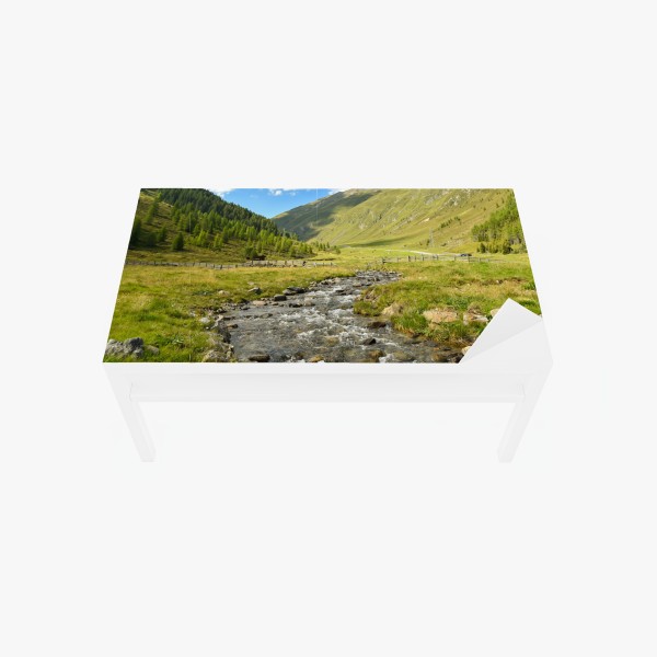 Tischaufkleber und Schreibtischaufkleber strahlende sonnenblume nahaufnahme – Wallnifity®