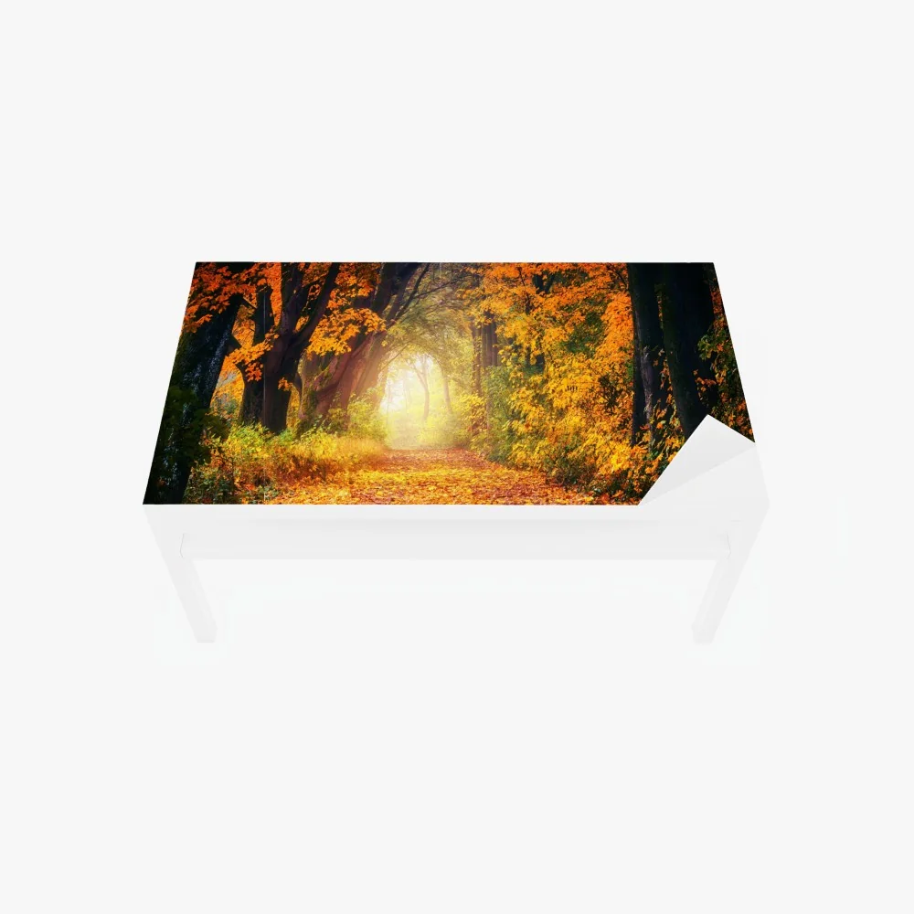 Tischaufkleber und Schreibtischaufkleber herbstlicher waldpfad im goldenen licht – Wallnifity® Tischaufkleber und Schreibtischaufkleber herbstlicher waldpfad im goldenen licht – Wallnifity®