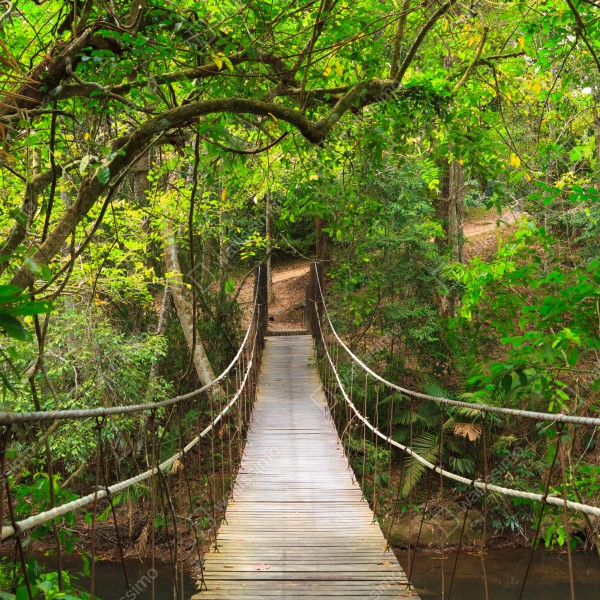 Tischaufkleber und Schreibtischaufkleber hängende holzbrücke im grünen wald – Wallnifity® Tischaufkleber und Schreibtischaufkleber hängende holzbrücke im grünen wald – Wallnifity®