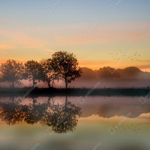 Tischaufkleber und Schreibtischaufkleber nebliger herbstlicher sonnenaufgang über Englischer landschaft – Wallnifity® Tischaufkleber und Schreibtischaufkleber nebliger herbstlicher sonnenaufgang über Englischer landschaft – Wallnifity®