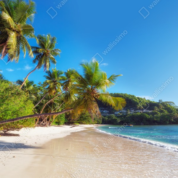 Tischaufkleber und Schreibtischaufkleber tropischer palmstrand – Wallnifity® Tischaufkleber und Schreibtischaufkleber tropischer palmstrand – Wallnifity®