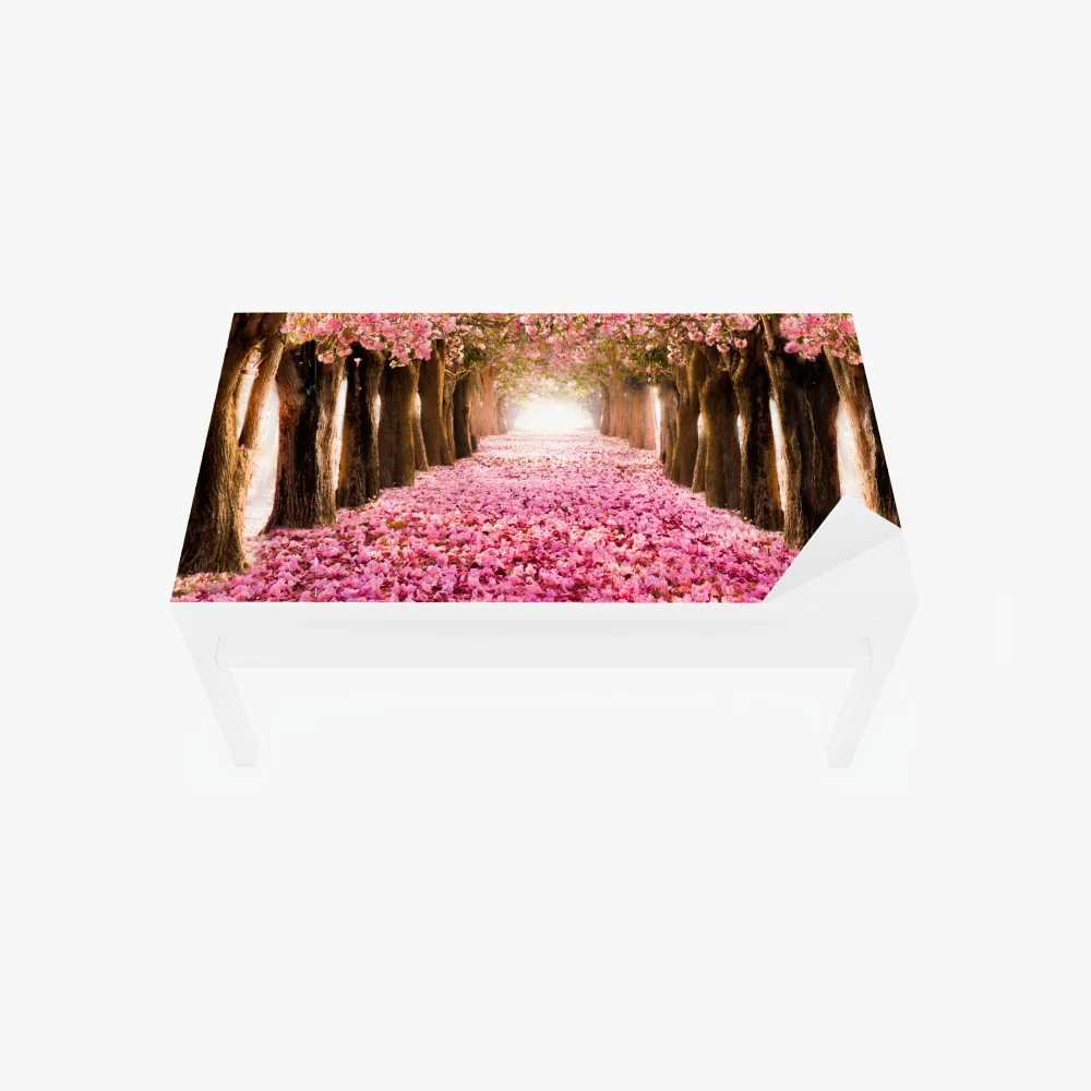 Tischaufkleber und Schreibtischaufkleber rosa blütenallee unter kirschbäumen – Wallnifity® Tischaufkleber und Schreibtischaufkleber rosa blütenallee unter kirschbäumen – Wallnifity®