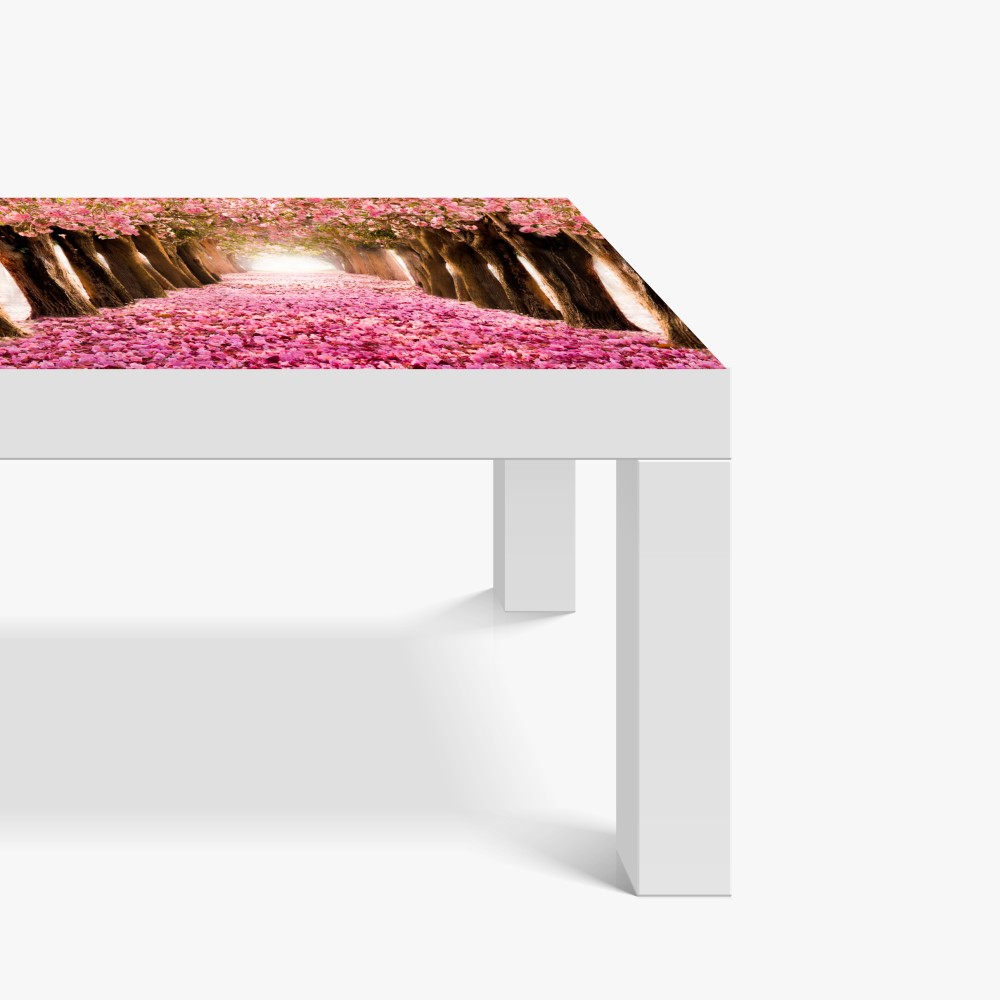Tischaufkleber und Schreibtischaufkleber rosa blütenallee unter kirschbäumen – Wallnifity® Tischaufkleber und Schreibtischaufkleber rosa blütenallee unter kirschbäumen – Wallnifity®
