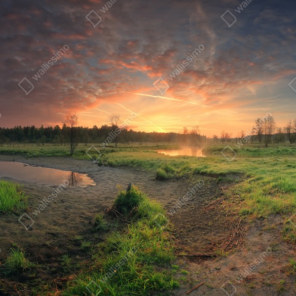 Tischaufkleber und Schreibtischaufkleber sonnenuntergang über einer ruhigen wiese – Wallnifity® Tischaufkleber und Schreibtischaufkleber sonnenuntergang über einer ruhigen wiese – Wallnifity®