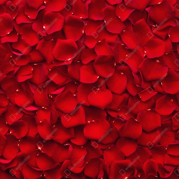 Tischaufkleber und Schreibtischaufkleber rote rosenblätter hintergrund – Wallnifity® Tischaufkleber und Schreibtischaufkleber rote rosenblätter hintergrund – Wallnifity®