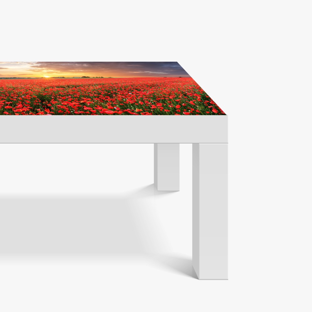 Tischaufkleber und Schreibtischaufkleber mohnfeld im sonnenuntergang – Wallnifity® Tischaufkleber und Schreibtischaufkleber mohnfeld im sonnenuntergang – Wallnifity®