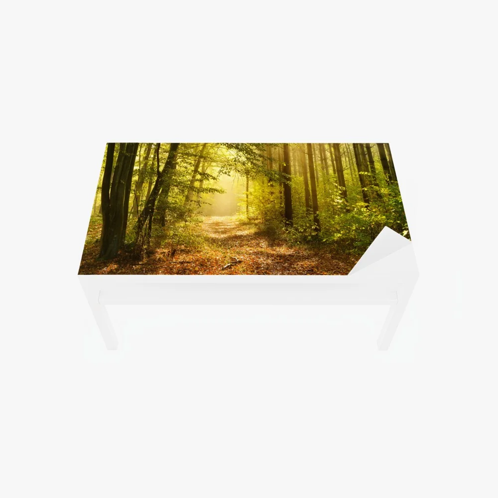 Tischaufkleber und Schreibtischaufkleber sonnenbeschienener waldweg im herbst – Wallnifity® Tischaufkleber und Schreibtischaufkleber sonnenbeschienener waldweg im herbst – Wallnifity®