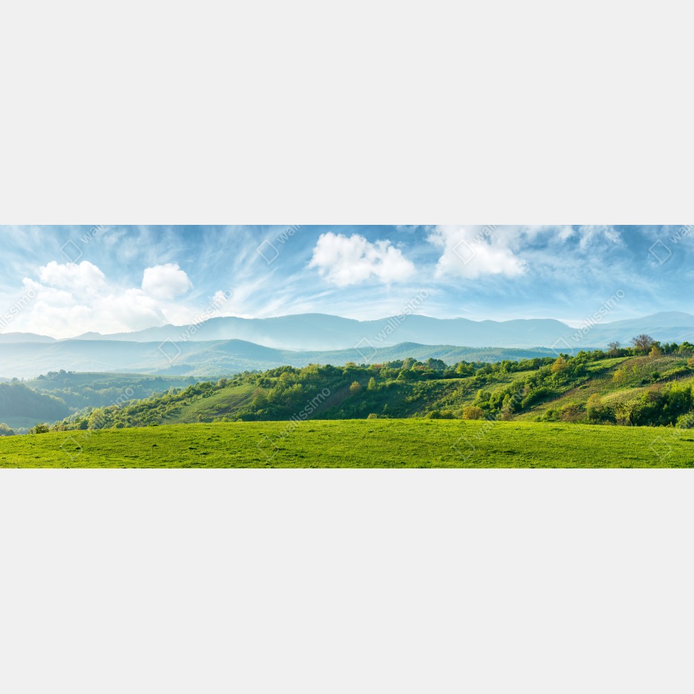Tischaufkleber und Schreibtischaufkleber frühlingspanorama rumänische berge – Wallnifity® Tischaufkleber und Schreibtischaufkleber frühlingspanorama rumänische berge – Wallnifity®