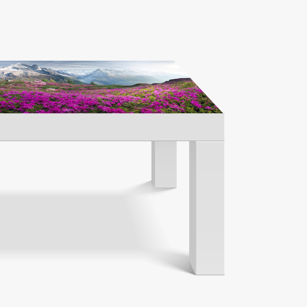 Tischaufkleber und Schreibtischaufkleber alpine rhododendronwiese bei Mont Blanc – Wallnifity® Tischaufkleber und Schreibtischaufkleber alpine rhododendronwiese bei Mont Blanc – Wallnifity®