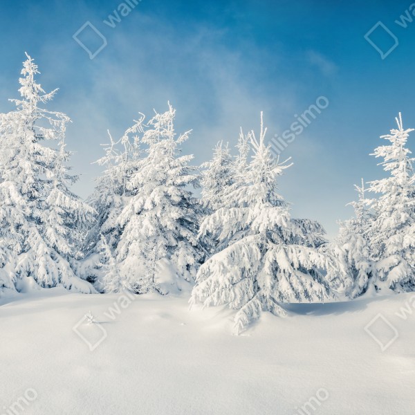 Tischaufkleber und Schreibtischaufkleber panorama verschneiten waldes – Wallnifity® Tischaufkleber und Schreibtischaufkleber panorama verschneiten waldes – Wallnifity®