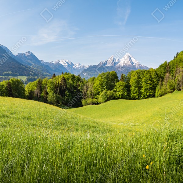 Tischaufkleber und Schreibtischaufkleber ruhiges alpines wiesenpanorama – Wallnifity® Tischaufkleber und Schreibtischaufkleber ruhiges alpines wiesenpanorama – Wallnifity®