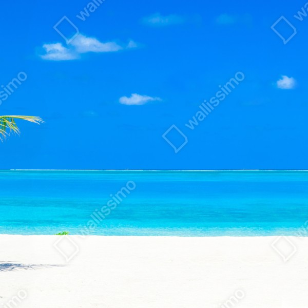 Tischaufkleber und Schreibtischaufkleber Malediven tropischer strand paradis – Wallnifity® Tischaufkleber und Schreibtischaufkleber Malediven tropischer strand paradis – Wallnifity®