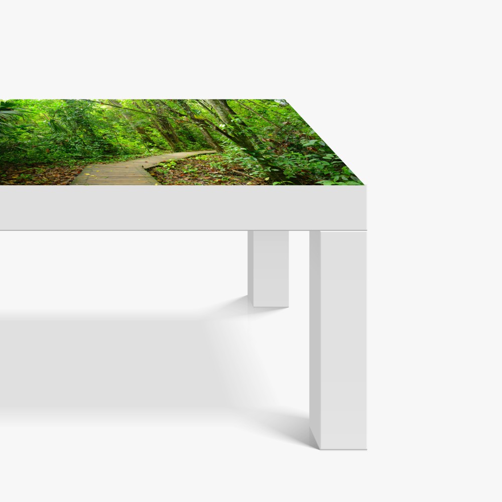 Tischaufkleber und Schreibtischaufkleber tropischer steg im üppigen wald – Wallnifity® Tischaufkleber und Schreibtischaufkleber tropischer steg im üppigen wald – Wallnifity®