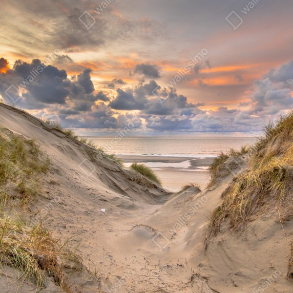 Tischaufkleber und Schreibtischaufkleber sonnenuntergang über den dünen – Wallnifity® Tischaufkleber und Schreibtischaufkleber sonnenuntergang über den dünen – Wallnifity®