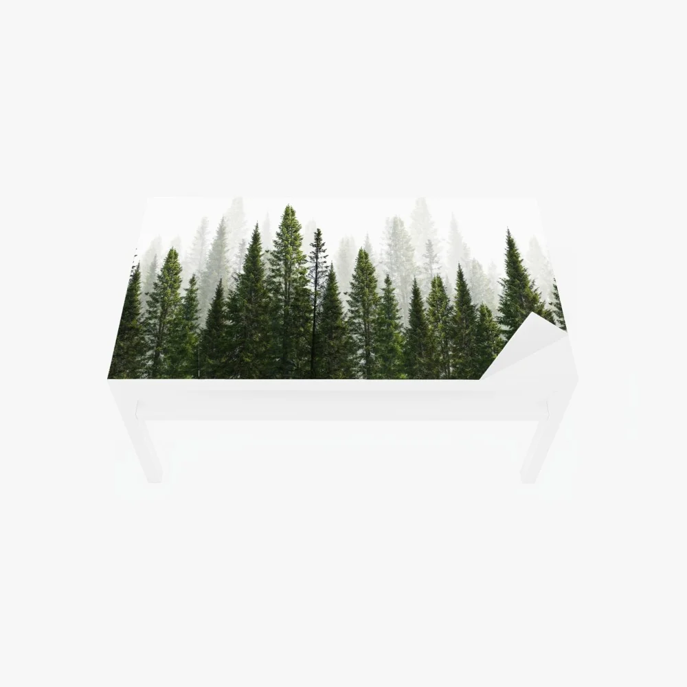 Tischaufkleber und Schreibtischaufkleber nebliger tannenwald – Wallnifity® Tischaufkleber und Schreibtischaufkleber nebliger tannenwald – Wallnifity®