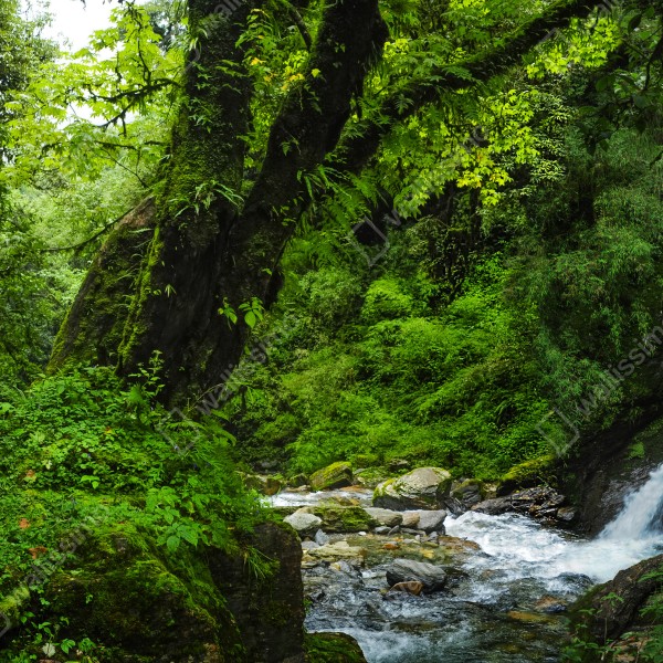 Tischaufkleber und Schreibtischaufkleber üppiger grüner wasserfall im wald – Wallnifity® Tischaufkleber und Schreibtischaufkleber üppiger grüner wasserfall im wald – Wallnifity®