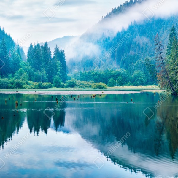 Tischaufkleber und Schreibtischaufkleber nebliger morgen am see Lacu Rosu, Rumänien – Wallnifity® Tischaufkleber und Schreibtischaufkleber nebliger morgen am see Lacu Rosu, Rumänien – Wallnifity®