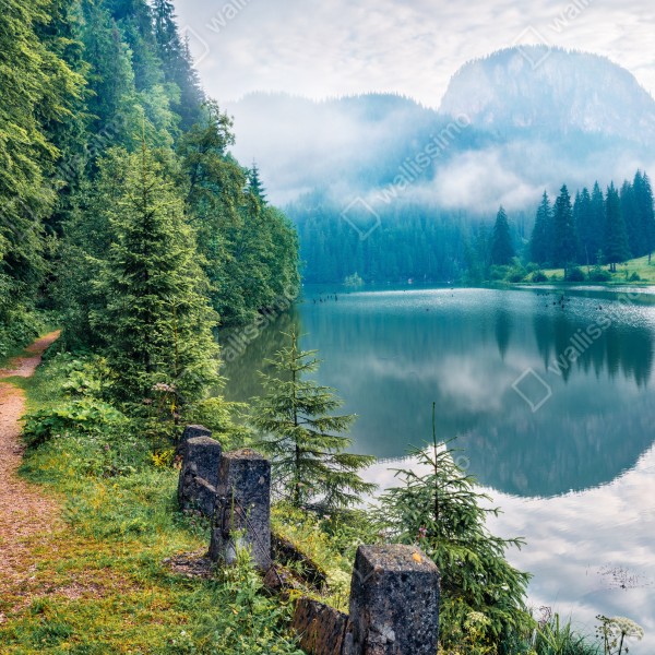 Tischaufkleber und Schreibtischaufkleber nebliger morgen am Lacu Rosu – Wallnifity® Tischaufkleber und Schreibtischaufkleber nebliger morgen am Lacu Rosu – Wallnifity®
