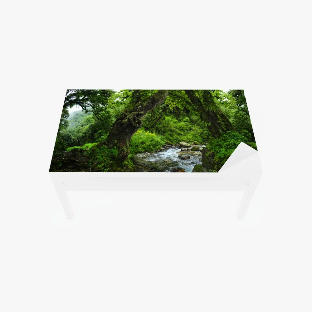 Tischaufkleber und Schreibtischaufkleber moosiger waldbach panorama – Wallnifity® Tischaufkleber und Schreibtischaufkleber moosiger waldbach panorama – Wallnifity®