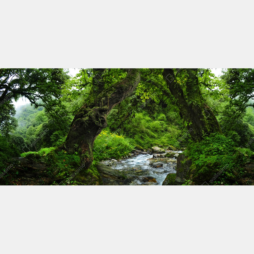 Tischaufkleber und Schreibtischaufkleber moosiger waldbach panorama – Wallnifity® Tischaufkleber und Schreibtischaufkleber moosiger waldbach panorama – Wallnifity®