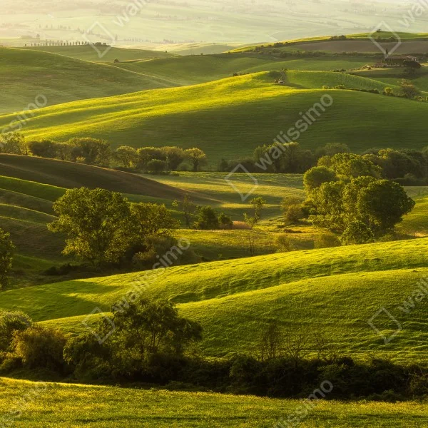 Tischaufkleber und Schreibtischaufkleber sonnenbeschienene grüne hügel – Wallnifity® Tischaufkleber und Schreibtischaufkleber sonnenbeschienene grüne hügel – Wallnifity®