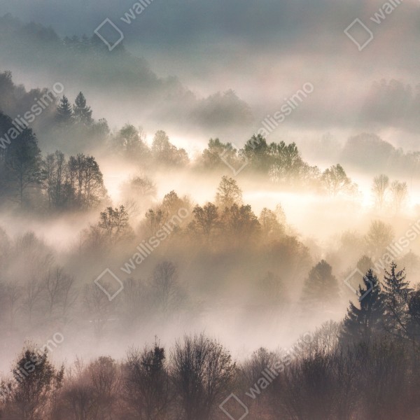 Tischaufkleber und Schreibtischaufkleber nebliger wald im morgengrauen – Wallnifity® Tischaufkleber und Schreibtischaufkleber nebliger wald im morgengrauen – Wallnifity®