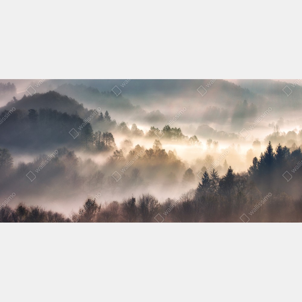 Tischaufkleber und Schreibtischaufkleber nebliger wald im morgengrauen – Wallnifity® Tischaufkleber und Schreibtischaufkleber nebliger wald im morgengrauen – Wallnifity®