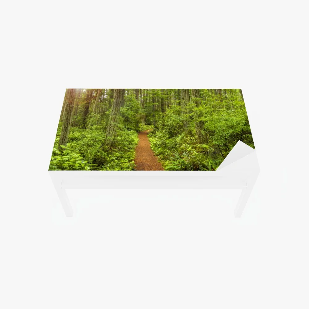 Tischaufkleber und Schreibtischaufkleber friedlicher waldpfad – Wallnifity® Tischaufkleber und Schreibtischaufkleber friedlicher waldpfad – Wallnifity®