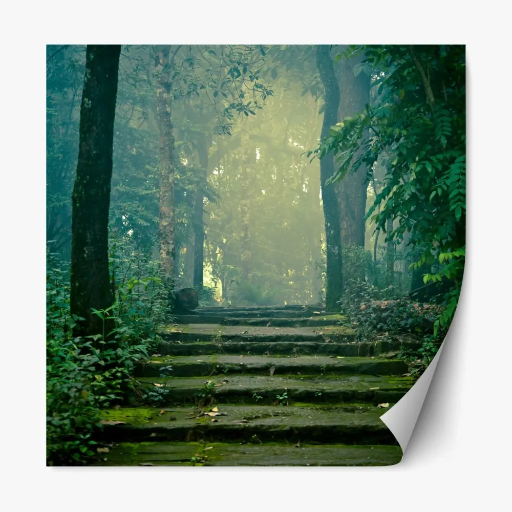 Repositionierbarer Aufkleber moosbedeckte steintreppe in den nebligen wald – Wallnifity® Repositionierbarer Aufkleber moosbedeckte steintreppe in den nebligen wald – Wallnifity®