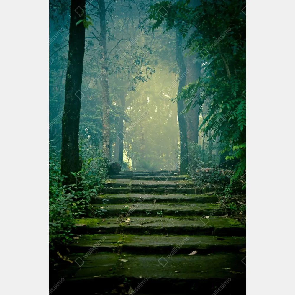 Repositionierbarer Aufkleber moosbedeckte steintreppe in den nebligen wald – Wallnifity® Repositionierbarer Aufkleber moosbedeckte steintreppe in den nebligen wald – Wallnifity®