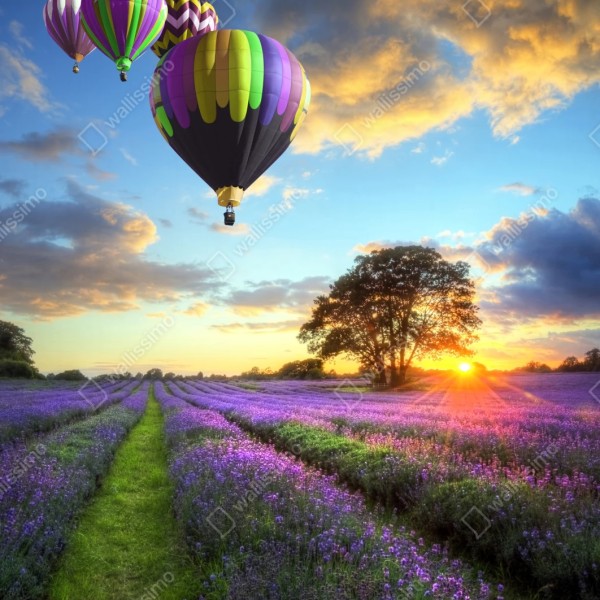 Repositionierbarer Aufkleber lavendersonnenuntergang mit bunten heißluftballons – Wallnifity® Repositionierbarer Aufkleber lavendersonnenuntergang mit bunten heißluftballons – Wallnifity®