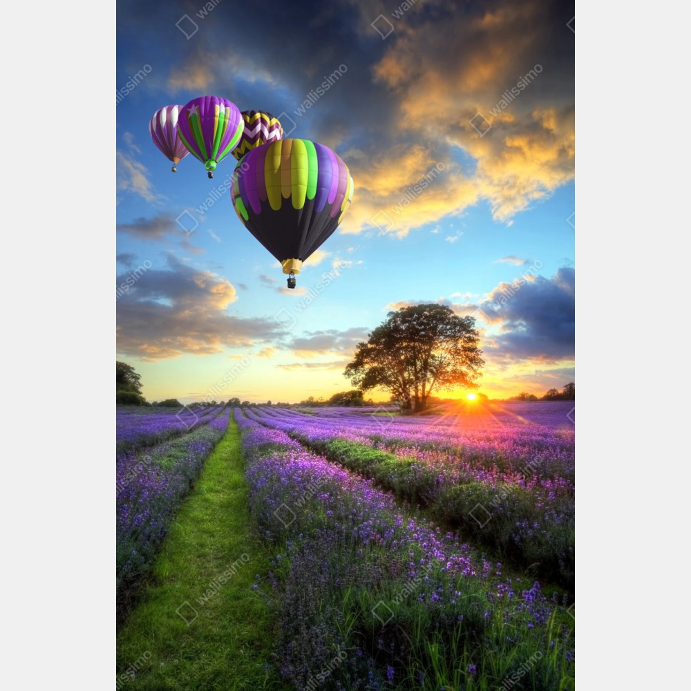 Repositionierbarer Aufkleber lavendersonnenuntergang mit bunten heißluftballons – Wallnifity® Repositionierbarer Aufkleber lavendersonnenuntergang mit bunten heißluftballons – Wallnifity®