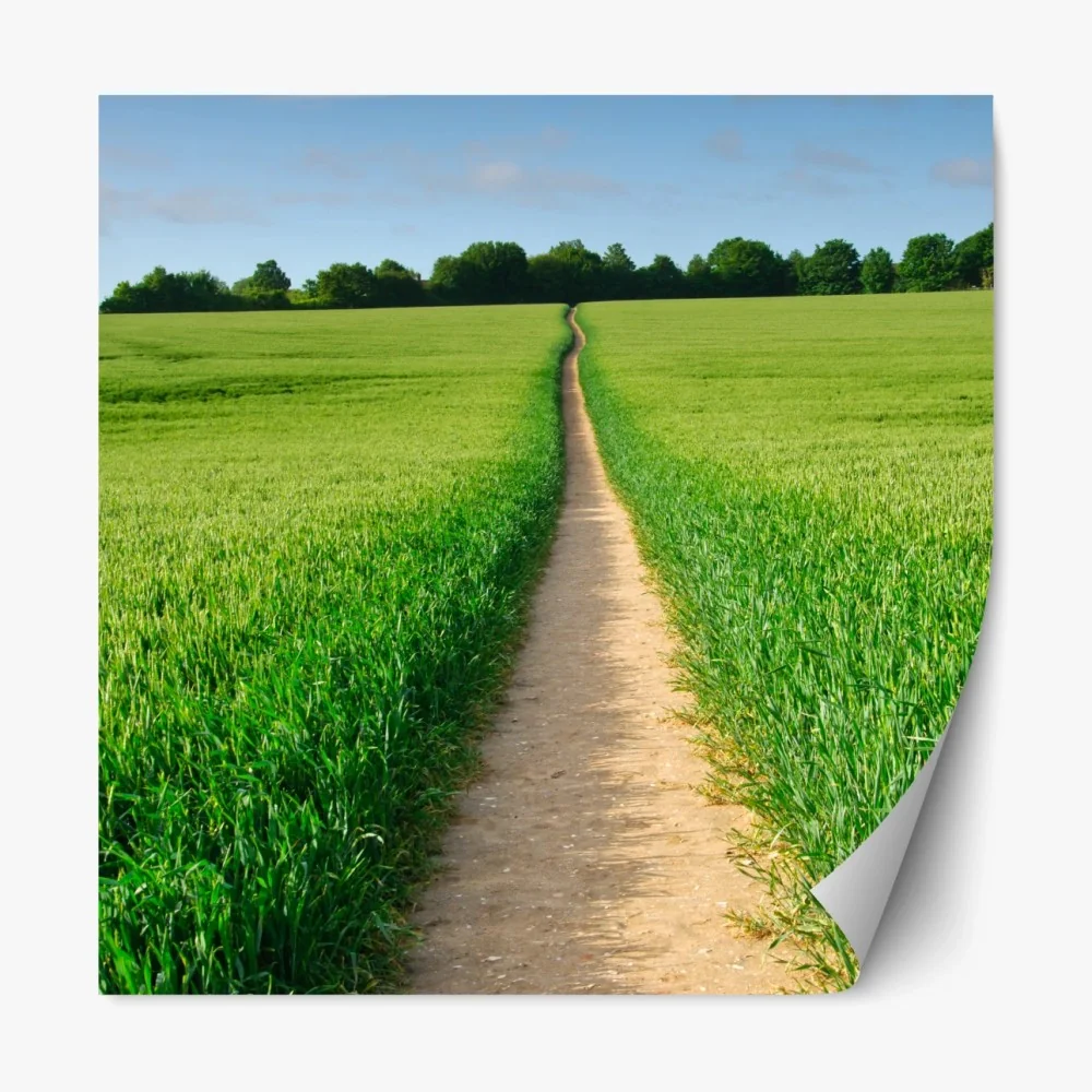 Repositionierbarer Aufkleber sonnenbeschienener weg durch grüne wiese – Wallnifity® Repositionierbarer Aufkleber sonnenbeschienener weg durch grüne wiese – Wallnifity®