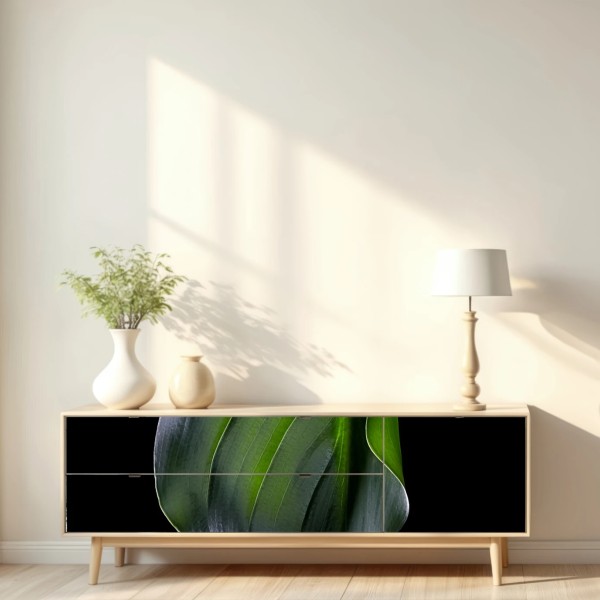 Repositionierbarer Aufkleber elegantes grünes blatt auf schwarzem hintergrund – Wallnifity® Repositionierbarer Aufkleber elegantes grünes blatt auf schwarzem hintergrund – Wallnifity®